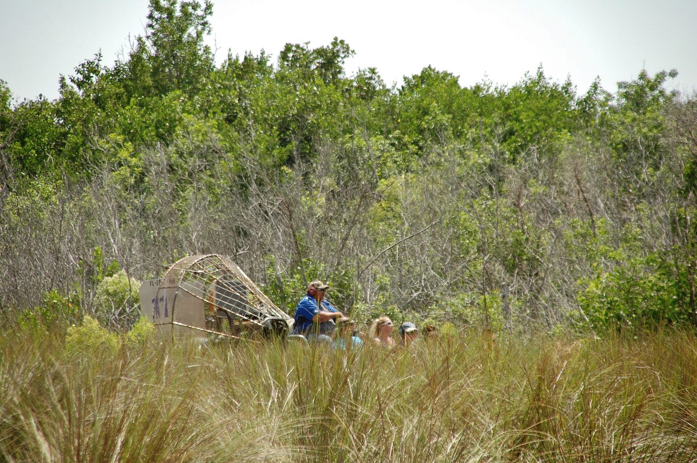 Hidrodeslizador en los Everglades