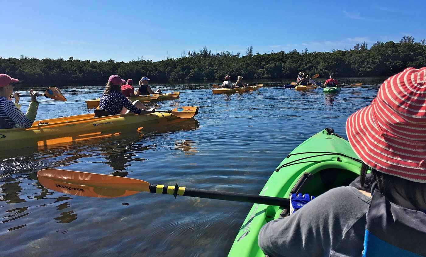 Kayak entre los manglares de los Cayos
