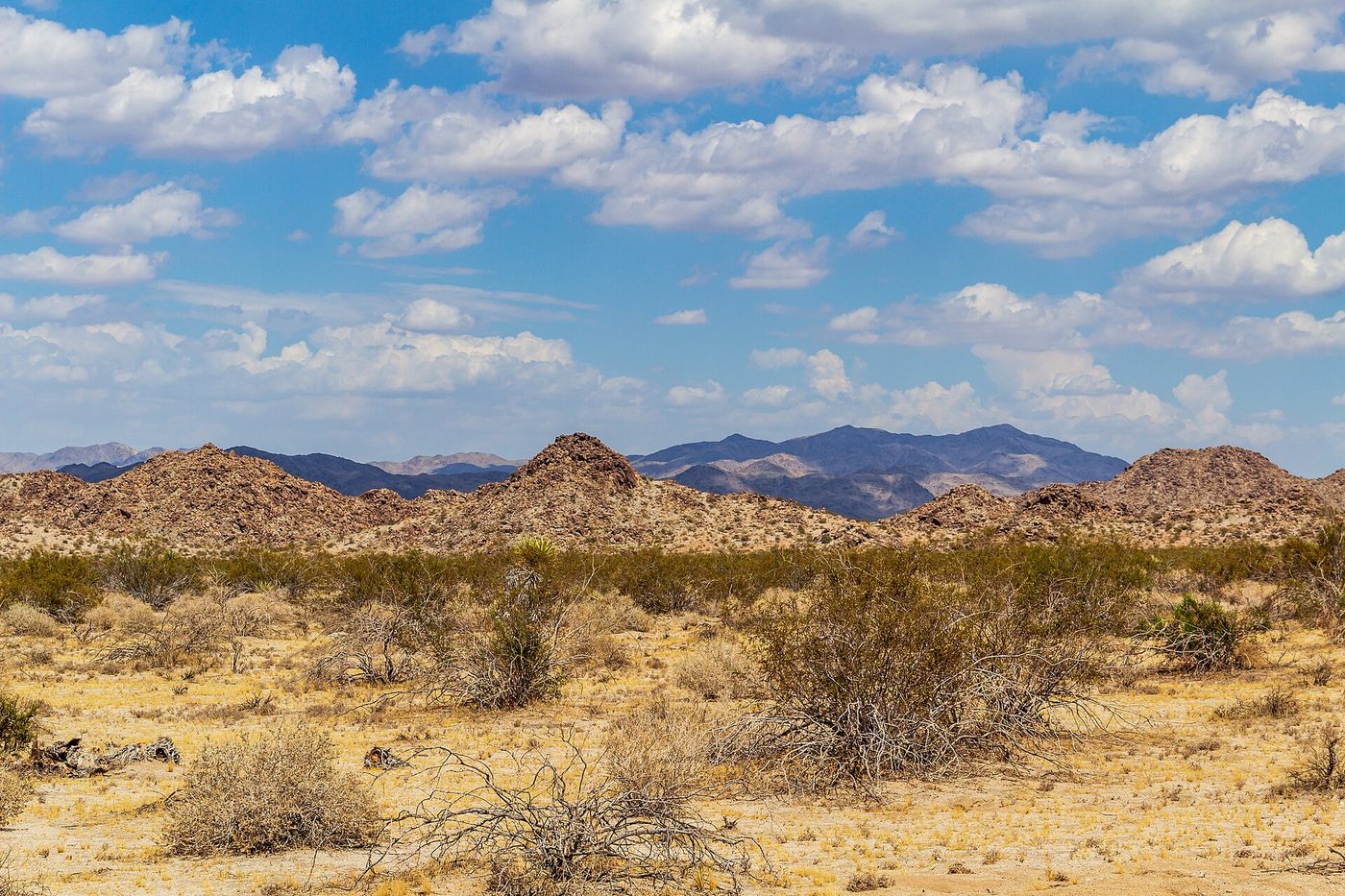 El desierto californiano, como el de Blaine County