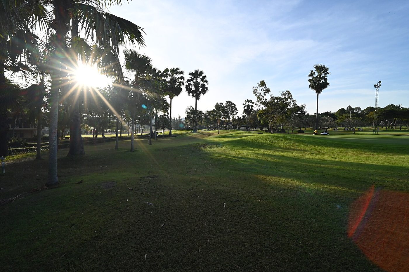 Palmeras al atardecer