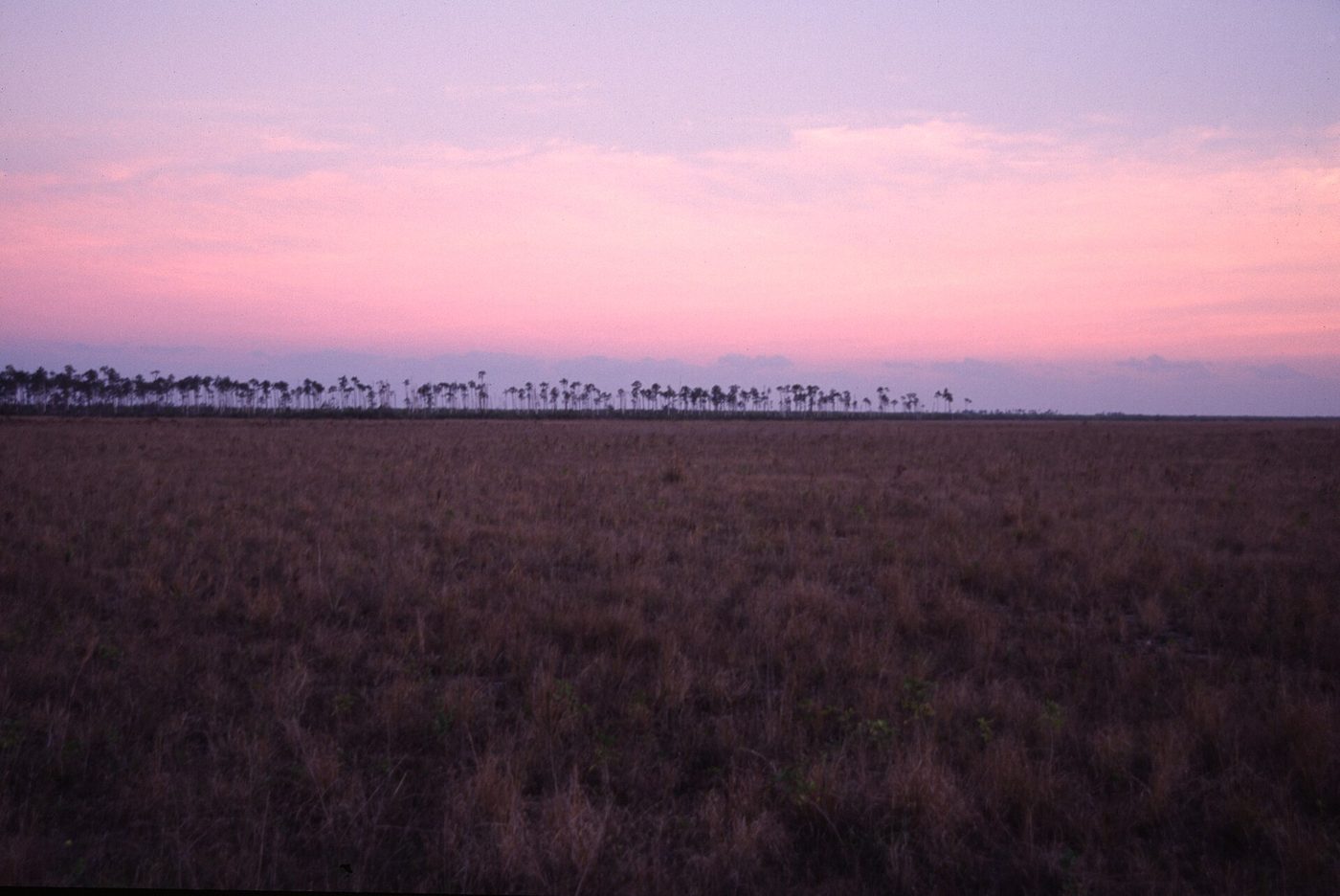Los Everglades de Florida al atardecer