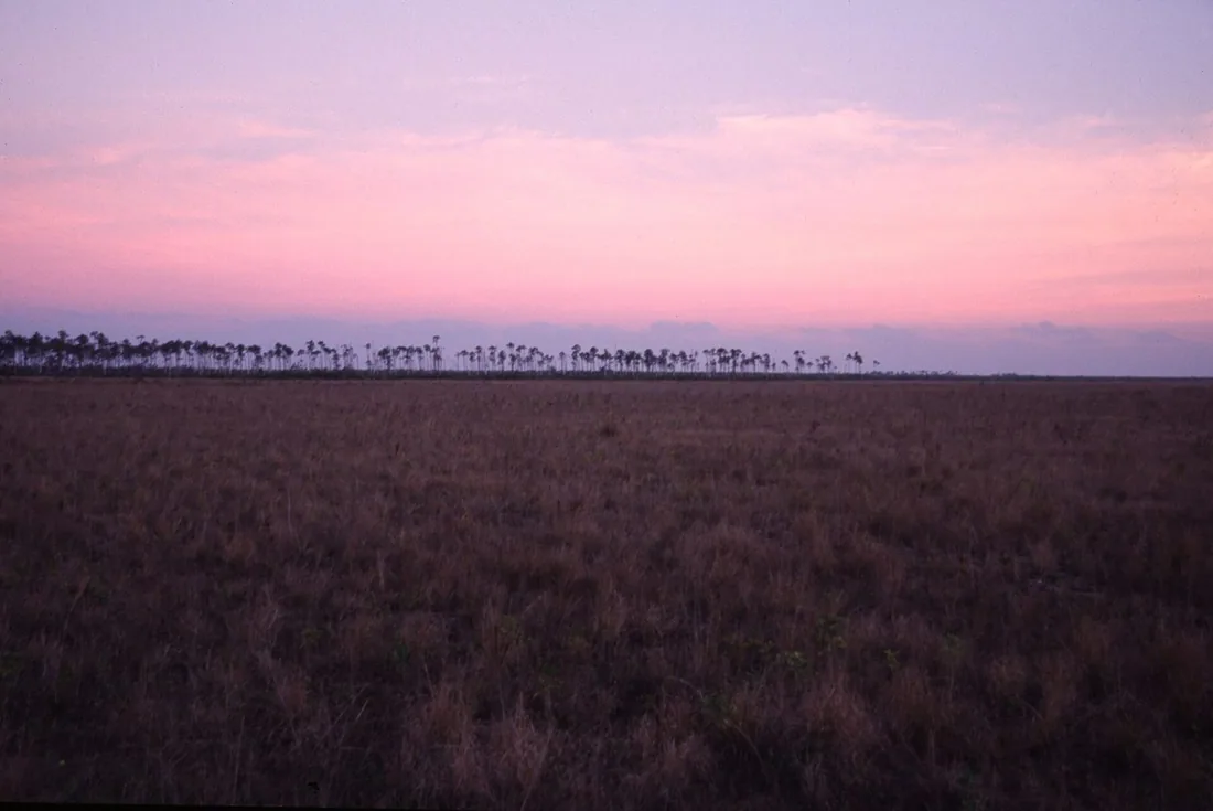 Los Everglades de Florida al atardecer