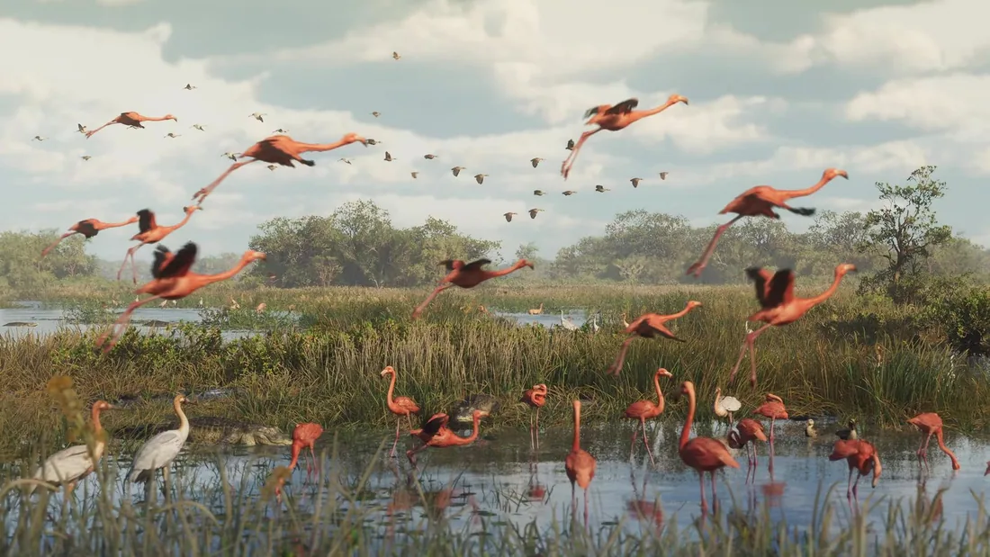 GTA VI tendra mas de 170 especies de animales, entre nativas de Florida e invasoras